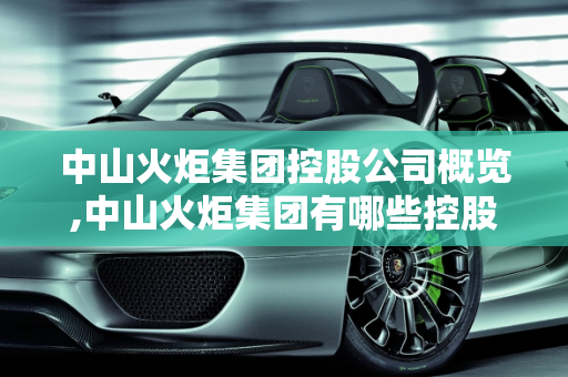 中山火炬集团控股公司概览,中山火炬集团有哪些控股公司