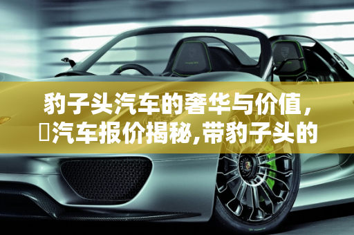 豹子头汽车的奢华与价值，犳汽车报价揭秘,带豹子头的车有多贵，犳汽车报价