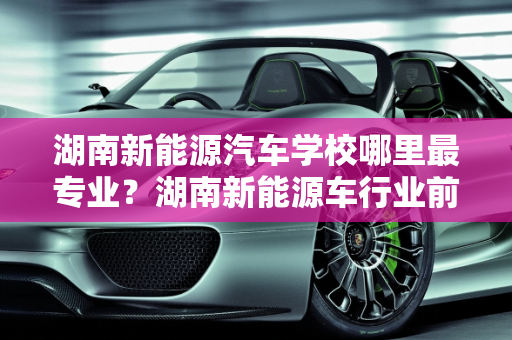 湖南新能源汽车学校哪里最专业？湖南新能源车行业前景分析,湖南新能源汽车学校哪里最专业，湖南新能源车