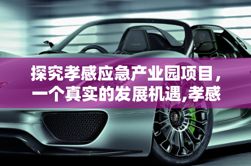 探究孝感应急产业园项目，一个真实的发展机遇,孝感应急产业园项目是真的吗