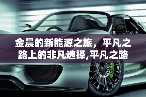 金晨的新能源之旅，平凡之路上的非凡选择,平凡之路金晨开的什么电动车，新能源之路