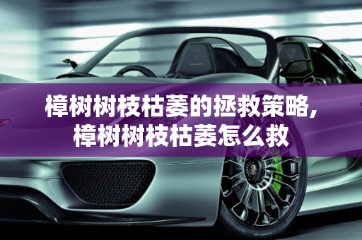 樟树树枝枯萎的拯救策略,樟树树枝枯萎怎么救