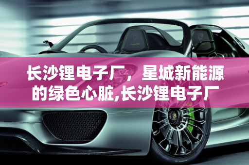 长沙锂电子厂，星城新能源的绿色心脏,长沙锂电子厂是生产什么的,星城新能源