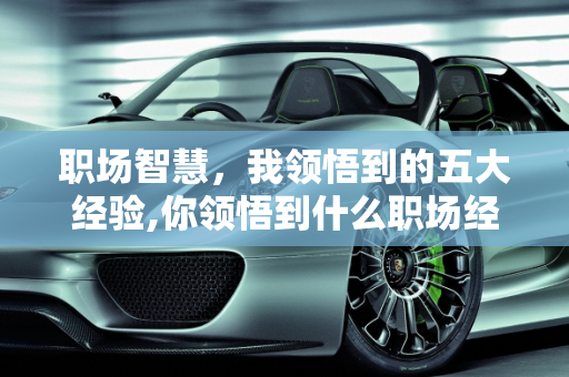 职场智慧，我领悟到的五大经验,你领悟到什么职场经验
