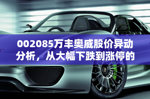 002085万丰奥威股价异动分析，从大幅下跌到涨停的转变预示着什么？,002085万丰奥威，近期一直大幅下跌，今天突然几分钟内拉至涨停，为什么这种情况预示着什么走势