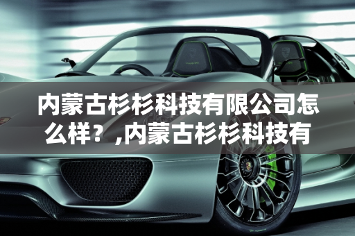 内蒙古杉杉科技有限公司怎么样？,内蒙古杉杉科技有限公司怎么样