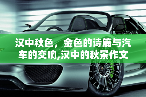 汉中秋色，金色的诗篇与汽车的交响,汉中的秋景作文结尾,汉中庞大汽车报价