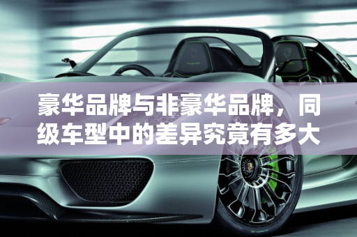 豪华品牌与非豪华品牌，同级车型中的差异究竟有多大？,豪华品牌与非豪华品牌在同级车型中真的区别很大吗