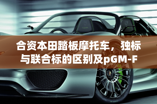 合资本田踏板摩托车，独标与联合标的区别及pGM-FI与i-FI技术解析,合资本田踏板的独标与联合标、pGM一FI与丨一Fl有何区别