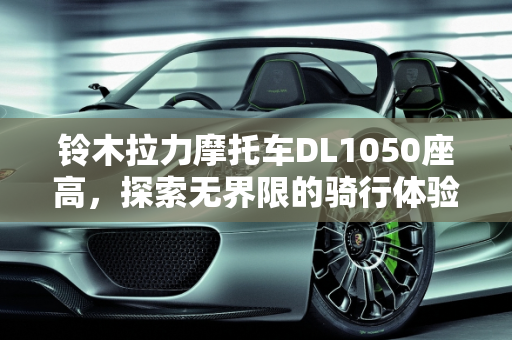 铃木拉力摩托车DL1050座高，探索无界限的骑行体验,铃木拉力摩托车dl1050座高