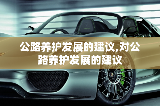 公路养护发展的建议,对公路养护发展的建议