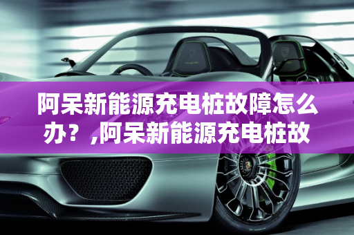 阿呆新能源充电桩故障怎么办？,阿呆新能源充电桩故障怎么办
