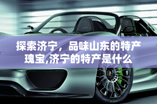 探索济宁，品味山东的特产瑰宝,济宁的特产是什么