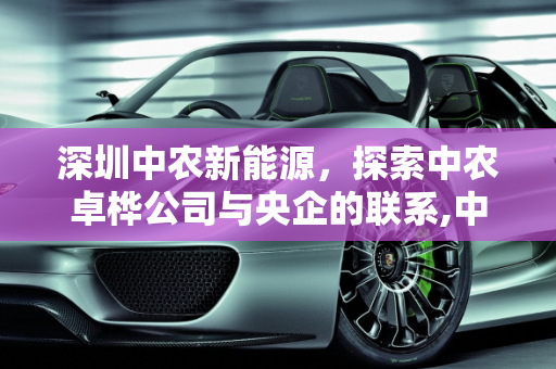 深圳中农新能源，探索中农卓桦公司与央企的联系,中农卓桦公司是央企吗，深圳中农新能源