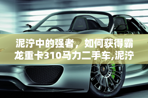 泥泞中的强者，如何获得霸龙重卡310马力二手车,泥泞奔驰怎么获得霸龙重卡，霸龙重卡310马力二手车