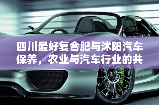 四川最好复合肥与沭阳汽车保养，农业与汽车行业的共通之处,四川最好复合肥，沭阳汽车保养