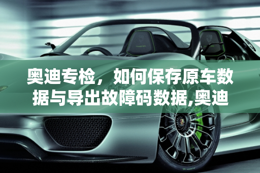 奥迪专检，如何保存原车数据与导出故障码数据,奥迪专检怎么保存原车数据，如何导出汽车故障码数据