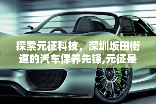 探索元征科技，深圳坂田街道的汽车保养先锋,元征是哪个国家，深圳坂田街道汽车保养