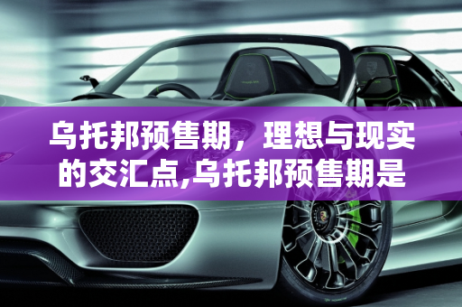 乌托邦预售期，理想与现实的交汇点,乌托邦预售期是多久