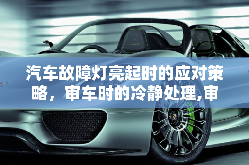 汽车故障灯亮起时的应对策略，审车时的冷静处理,审车时故障灯亮怎么办，汽车故障灯乱报警