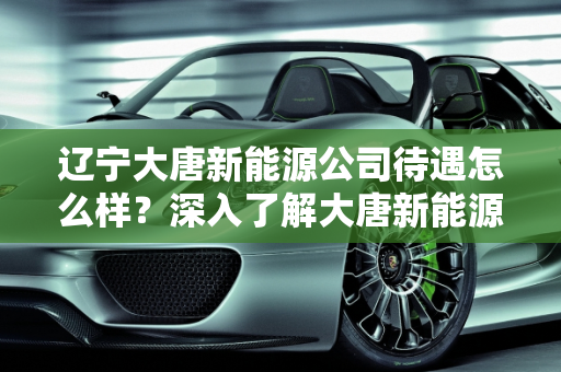 辽宁大唐新能源公司待遇怎么样？深入了解大唐新能源的薪资福利,辽宁大唐新能源公司待遇怎么样，大唐新能源待遇