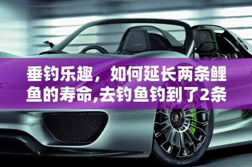 垂钓乐趣，如何延长两条鲤鱼的寿命,去钓鱼钓到了2条鲤鱼，8斤左右怎么养得时间长，氧气打气的，请钓友告诉我好吗！谢谢