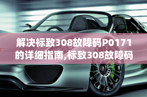 解决标致308故障码P0171的详细指南,标致308故障码p0171怎么解决
