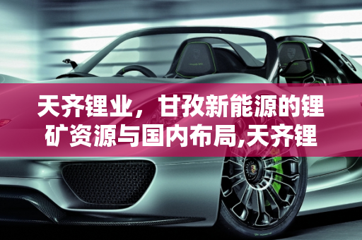 天齐锂业，甘孜新能源的锂矿资源与国内布局,天齐锂业国内有哪些矿,甘孜新能源