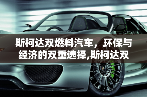 斯柯达双燃料汽车，环保与经济的双重选择,斯柯达双燃料汽车售价