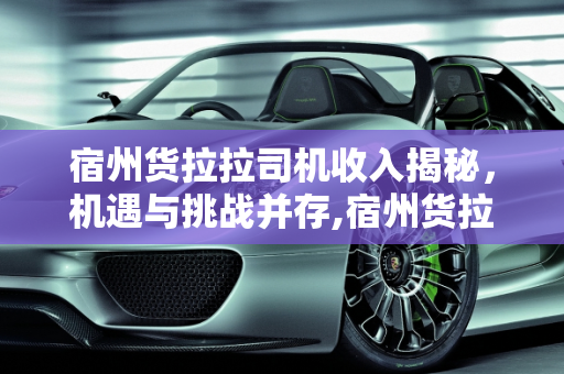 宿州货拉拉司机收入揭秘，机遇与挑战并存,宿州货拉拉收入怎么样
