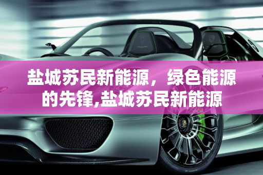 盐城苏民新能源，绿色能源的先锋,盐城苏民新能源