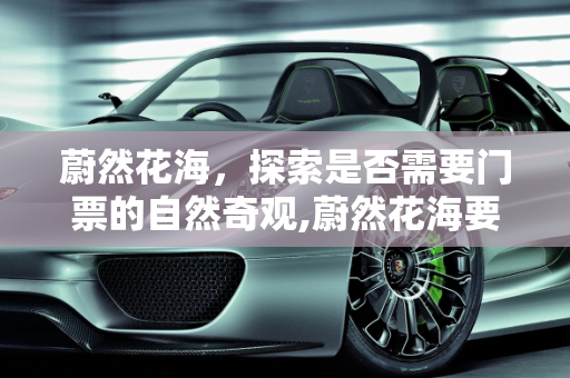 蔚然花海，探索是否需要门票的自然奇观,蔚然花海要不要门票
