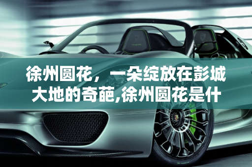 徐州圆花，一朵绽放在彭城大地的奇葩,徐州圆花是什么