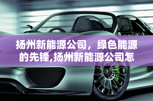 扬州新能源公司，绿色能源的先锋,扬州新能源公司怎么样