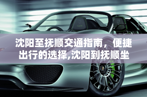 沈阳至抚顺交通指南，便捷出行的选择,沈阳到抚顺坐什么车