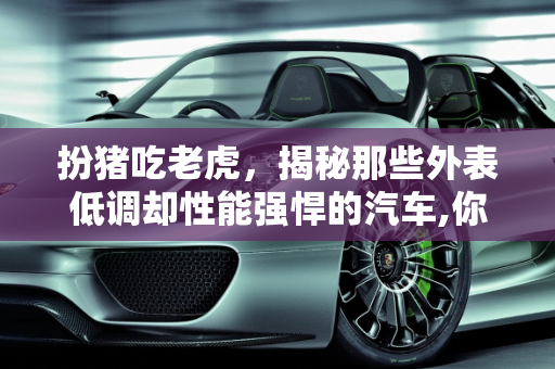 扮猪吃老虎，揭秘那些外表低调却性能强悍的汽车,你所知道的扮猪吃老虎的车有哪些