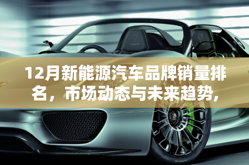 12月新能源汽车品牌销量排名，市场动态与未来趋势,12月新能源汽车品牌销量排名，新能源车辆