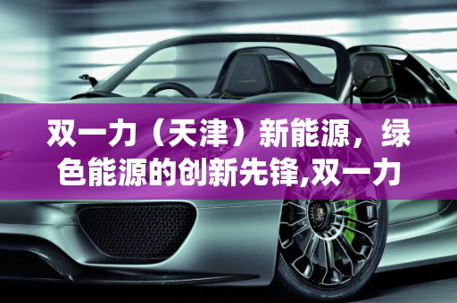 双一力（天津）新能源，绿色能源的创新先锋,双一力(天津)新能源