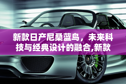 新款日产尼桑蓝鸟，未来科技与经典设计的融合,新款日产尼桑蓝鸟车型图片