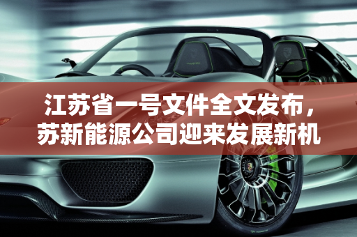 江苏省一号文件全文发布，苏新能源公司迎来发展新机遇,江苏省一号文件全文，苏新能源公司