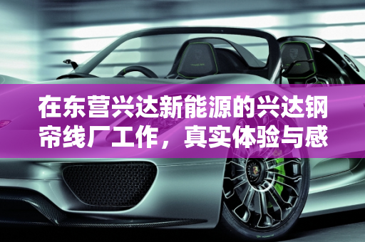 在东营兴达新能源的兴达钢帘线厂工作，真实体验与感悟,兴达钢帘线厂上班真实感受，东营兴达新能源