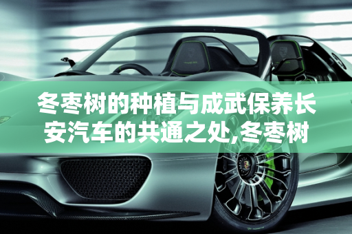 冬枣树的种植与成武保养长安汽车的共通之处,冬枣树每年都要种植吗,成武保养长安汽车