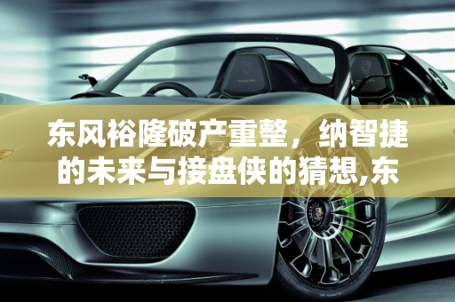 东风裕隆破产重整，纳智捷的未来与接盘侠的猜想,东风裕隆申请破产重整，谁是纳智捷接盘侠