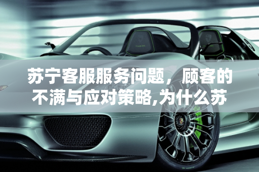 苏宁客服服务问题，顾客的不满与应对策略,为什么苏宁的客服一直不理顾客、不解决问题？该怎么办