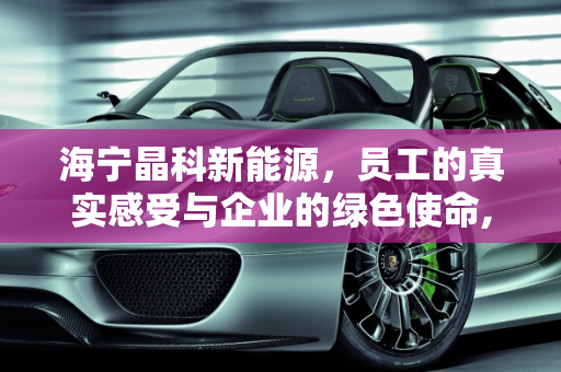 海宁晶科新能源，员工的真实感受与企业的绿色使命,海宁晶科新能源员工真实感受，晶科新能源