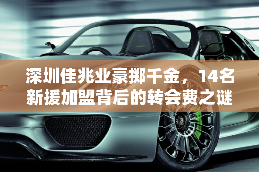 深圳佳兆业豪掷千金，14名新援加盟背后的转会费之谜,土豪！深圳佳兆业一口气签了14名球员，这要花多少转会费