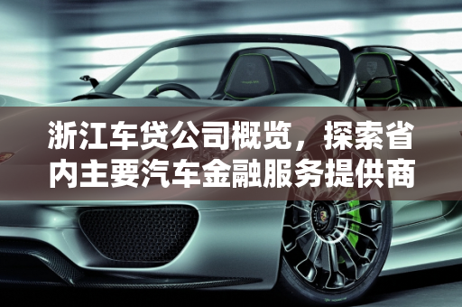 浙江车贷公司概览，探索省内主要汽车金融服务提供商,浙江车贷公司有哪些