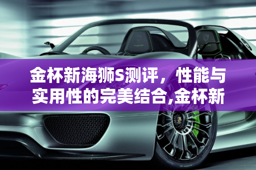 金杯新海狮S测评，性能与实用性的完美结合,金杯新海狮s测评