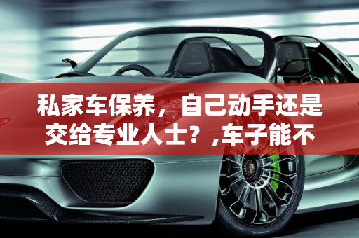 私家车保养，自己动手还是交给专业人士？,车子能不能自己保养