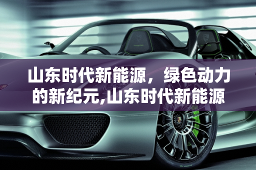 山东时代新能源，绿色动力的新纪元,山东时代新能源投产时间